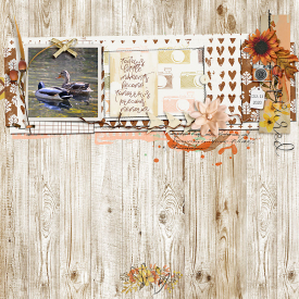 1028-sfstitches3.jpg