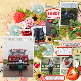 106---picking-strawberries-copy.jpg