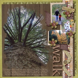 11-Arboretum-Walk-Web.jpg