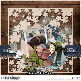 1126-collector-copy.jpg