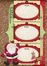 11_PS_CD2xmas_left-copy.jpg