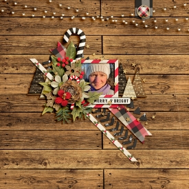 1203-merry-and-bright.jpg