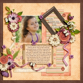 1206-MDM-Bloom.jpg