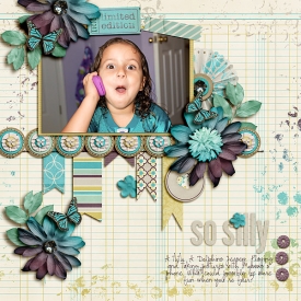 1206-MDM-SoSilly.jpg