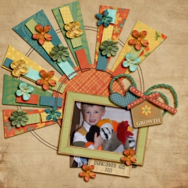 12L-Turkey-Web.jpg