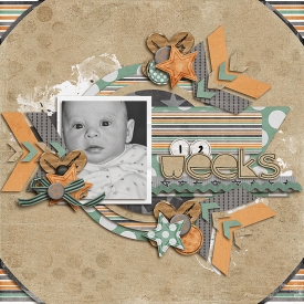 12Weeks-700.jpg