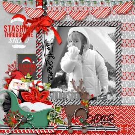 12_20_2008Snow.jpg