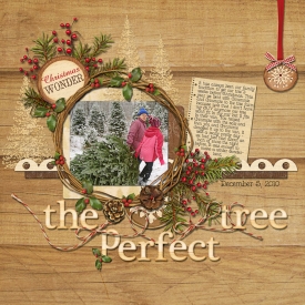 12_5_2010_The_Perfect_Tree_.jpg