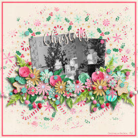 12_9_2022_CANDYLAND_LANE_FLERGS.jpg
