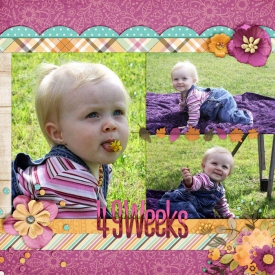 131028_49_Weeks_web.jpg