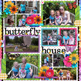 14-5-31-butterfly-house.jpg