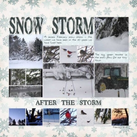 14-Snow-Storm-2web.jpg