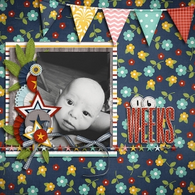 16Weeks-700.jpg