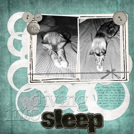 19-diving-into-sleep-scraplift1607.jpg