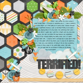 1968_RR-Soar_MFish-EverydayHexagons_web.jpg