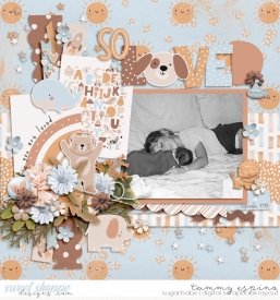 1999-09_pd-AdvInMyImagination_aws-DelicateReimagined_babe.jpg