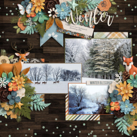 1_20_2021_WINTERWOODS.jpg