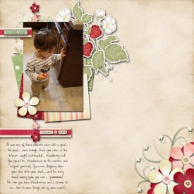 1_9_2009-Strawberries.jpg