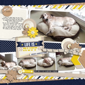 2-13-Life-is-Ruff-copy.jpg