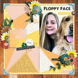 2-19700FloppyFace.jpg
