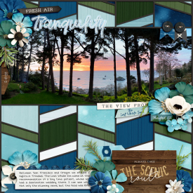2-20-Tranquility-copy.jpg