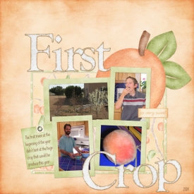 2004firstcrop.jpg