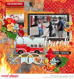 2007-10_dsi-fl-cdFirefighter_aws-tsOfSeasons1_babe.jpg