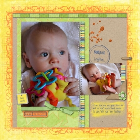 2007_02_07_-_Leighton_-_Lion_Teether.jpg