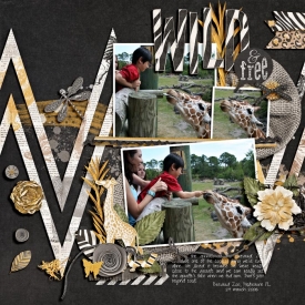20080329-feed-giraffe-web.jpg