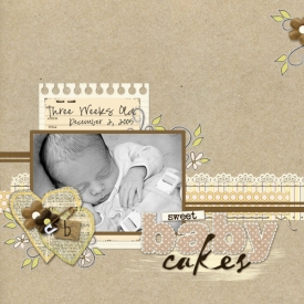 2008_02_20_BabyCakes.jpg