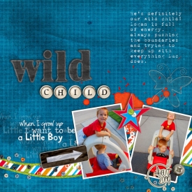 2008_08_WildChild_web.jpg