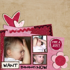 2008_1_MMullens_CookieTemplate_011608.jpg