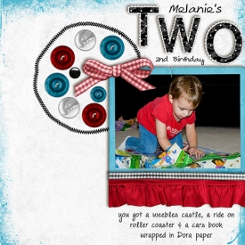 2008_2_2ndbirthday.jpg