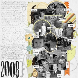 2008web.jpg
