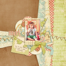 2009-08-Meri-2yearsold_copy-forum.jpg