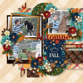 2009-10_-_tinci_-_hello_autoumn_1_-_KCB-flannel_season.jpg