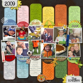 2009-review-web3.jpg