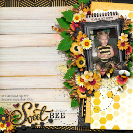 2009_11_28_Sweet-Bee.jpg