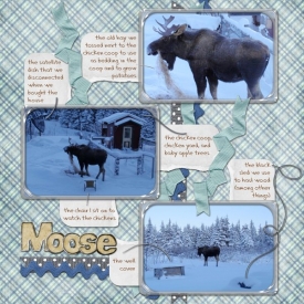 2009_moose_snow_small_b.jpg