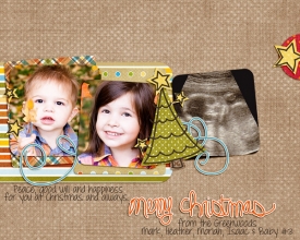 2010-Christmas-cardslargewe.jpg
