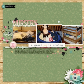 2010-Matthew-Nursery-copy.jpg