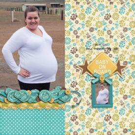 2010-feb-maternity.jpg