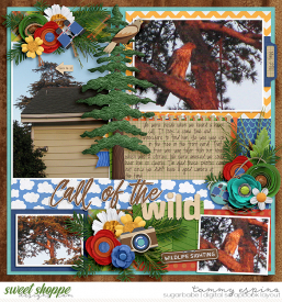 2011-05_CMG-GoneHiking_cs-MiniAlbum2_web1.jpg