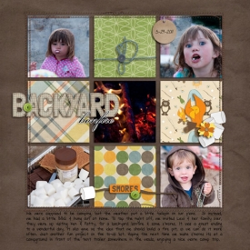 2011-06-smores-PSblog_21tex.jpg