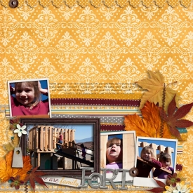 2011-11_PS12nov_11-2010fort.jpg