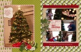 2011-12-psscNoel_tree-copy.jpg