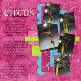 2011_07_03---Circus-Spectac.jpg