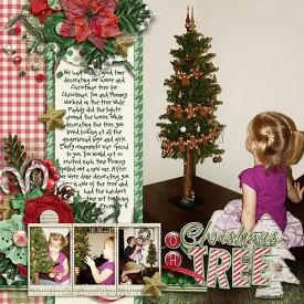 2011_12_03-Decorating-the-House-copy.jpg
