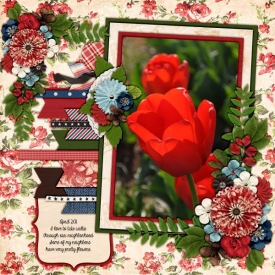 2011_april_flower_kcb_country_charm_er_2.jpg