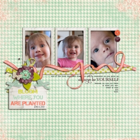 2012-02-mmtrBloom.jpg